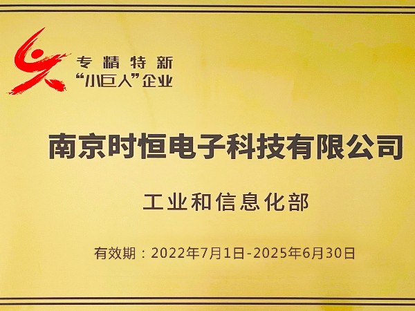 國(guó)家級(jí)專(zhuān)精特新小巨人企業(yè)